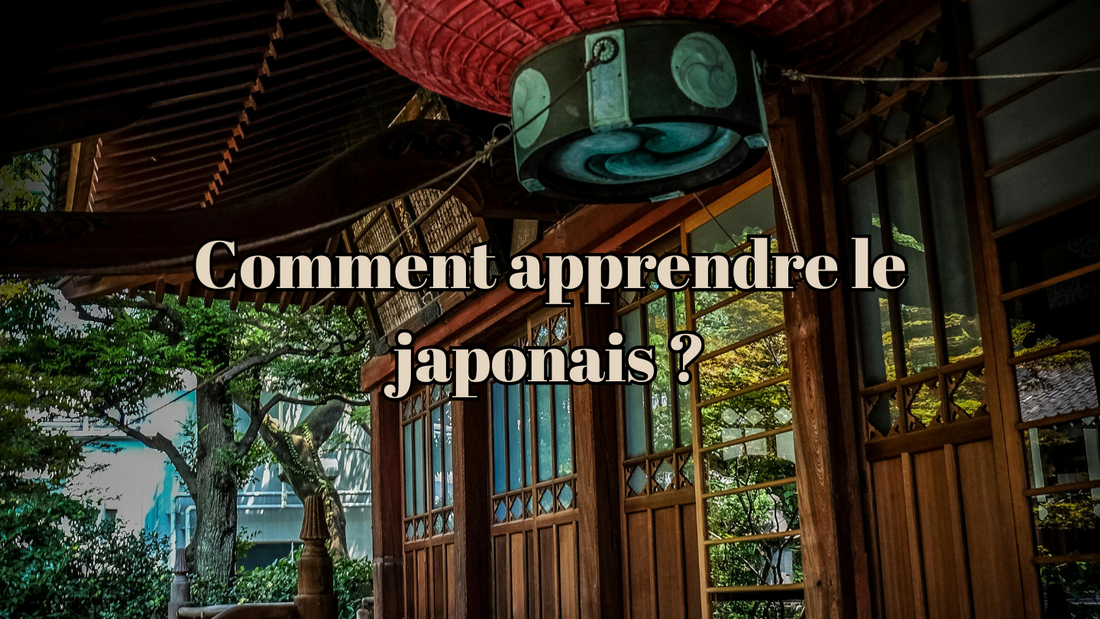 Comment apprendre le japonais ?